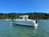 Ocqueteau 645